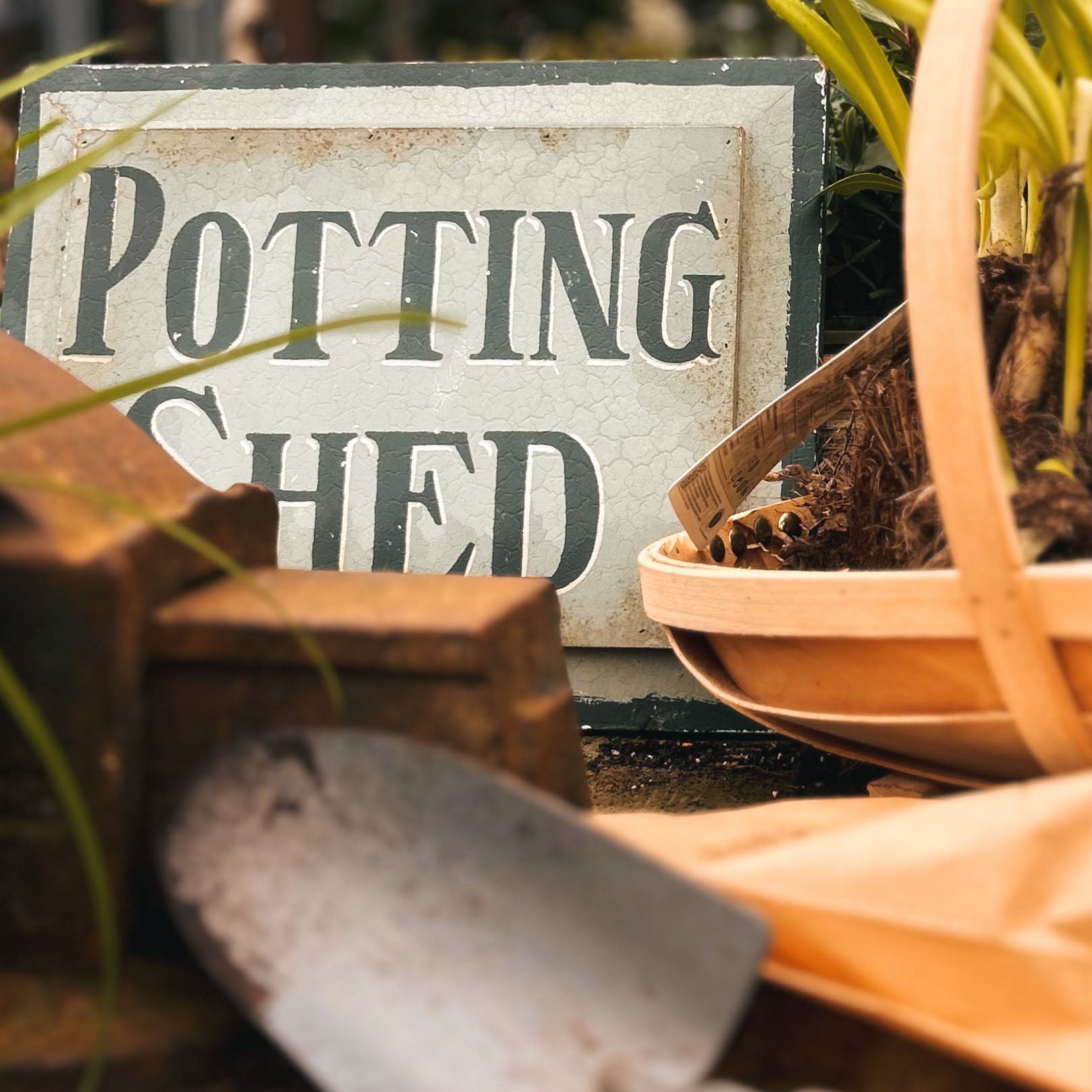 10 Essential Tools for Any Garden: Flowerland recommends