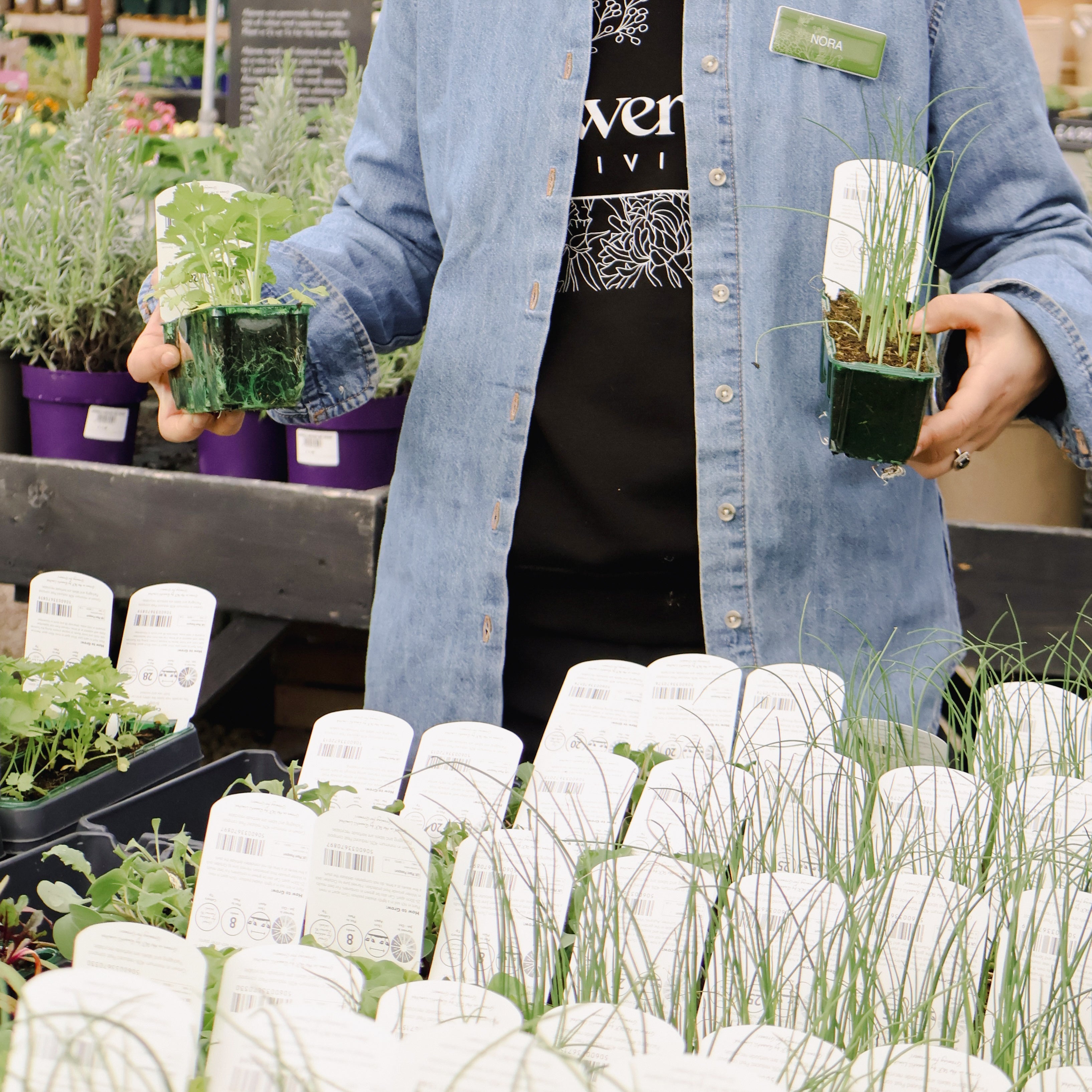 Why and how: Pinching out your plants