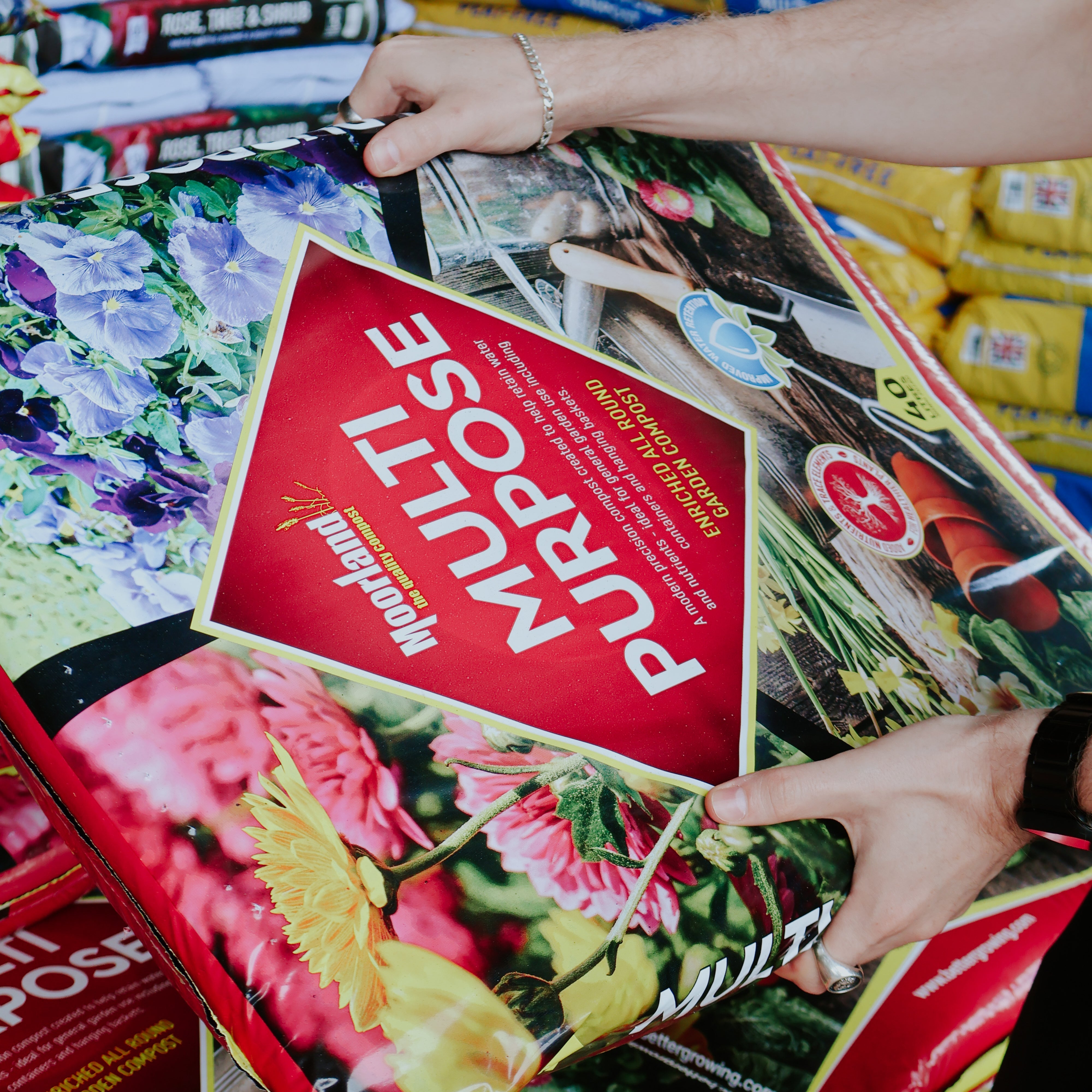 Best Compost for Seeds, Containers, and Beds Explained Simply