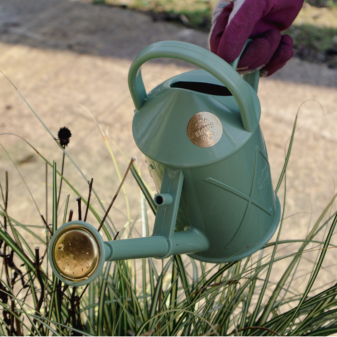 Haws Watering Cans: A Timeless Classic in Gardening Excellence