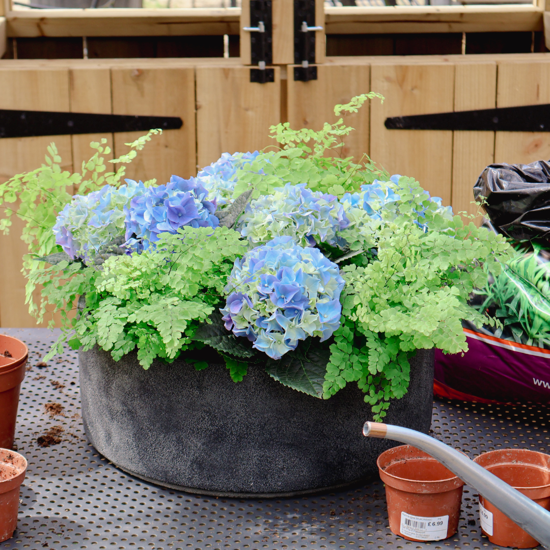 How to: Dreamy  Hydrangea Arrangement