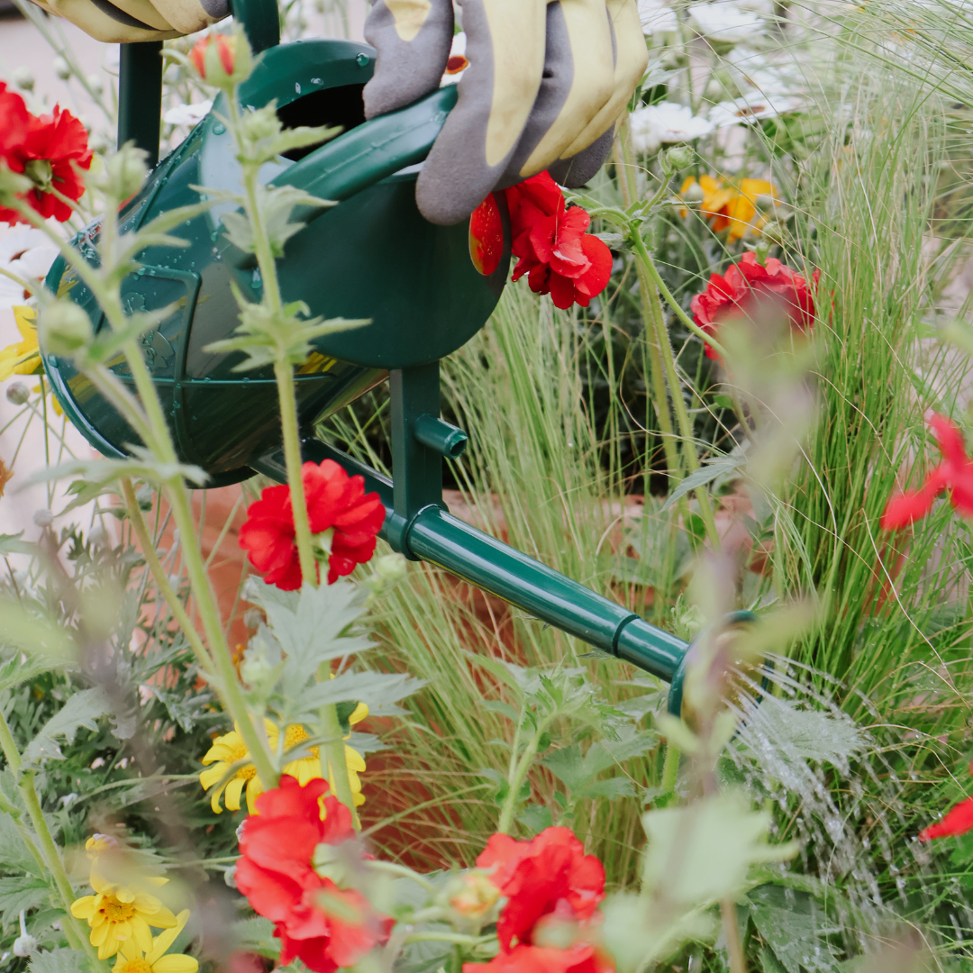 How to Keep Your Garden Thriving in a Heatwave