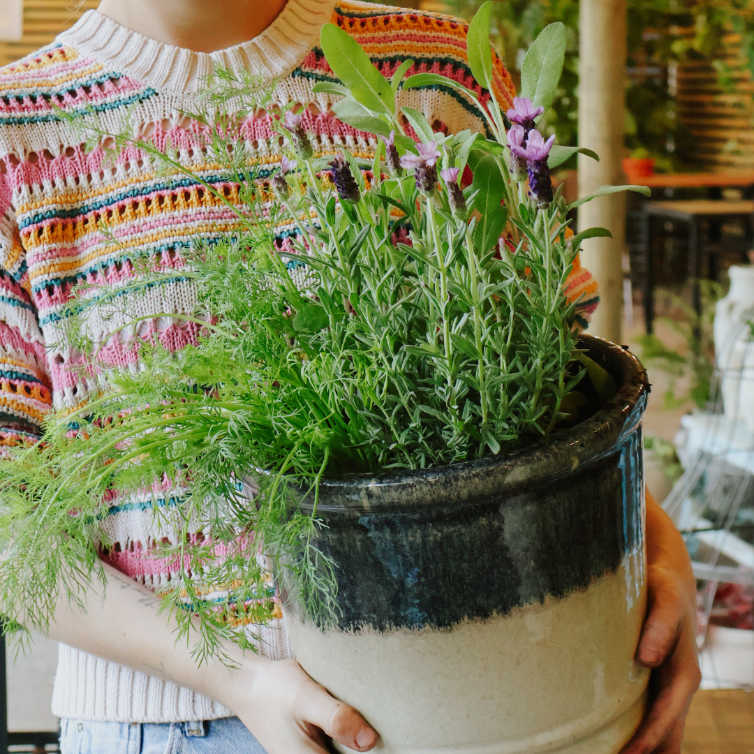 Easy DIY: Polliantor friendly container garden