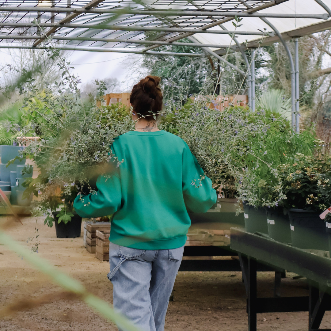 Gardening Jobs to Tackle in April: A Fresh Start for Your Garden