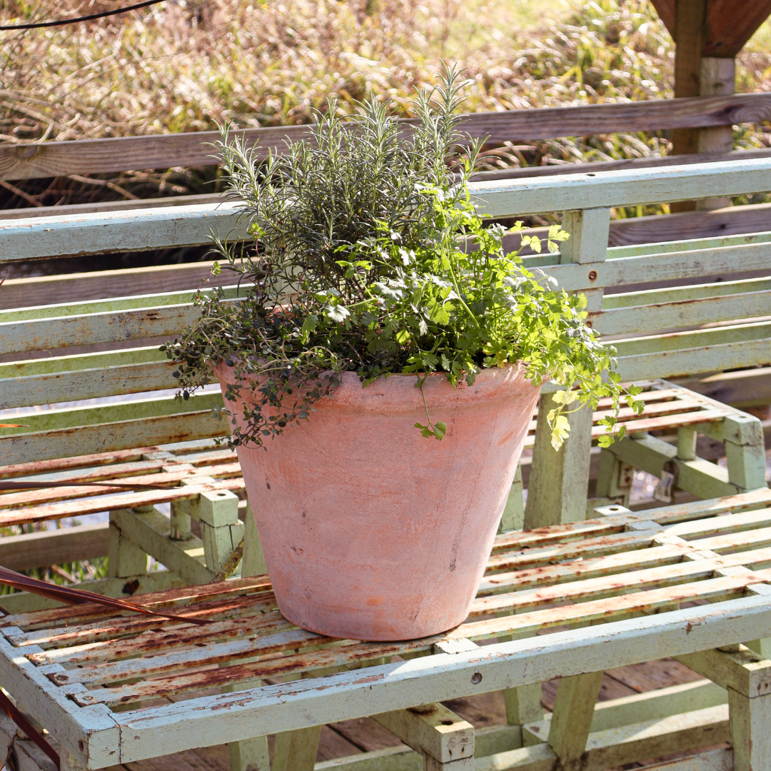 Container Gardening for April: Grow Your Garden in Small Spaces