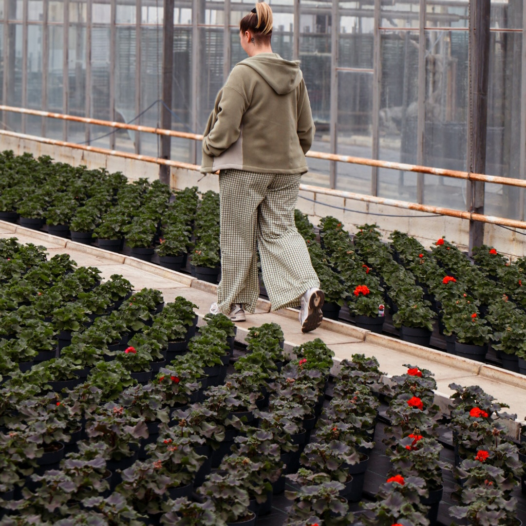 Growing Green: A Visit to Our Iver Plant Nursery