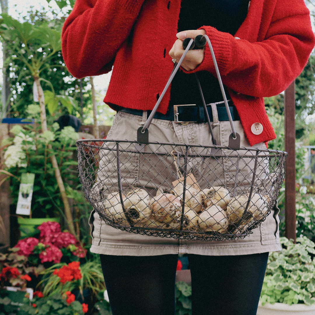 Autumn & Spring Bulb Pot Workshop with Nora