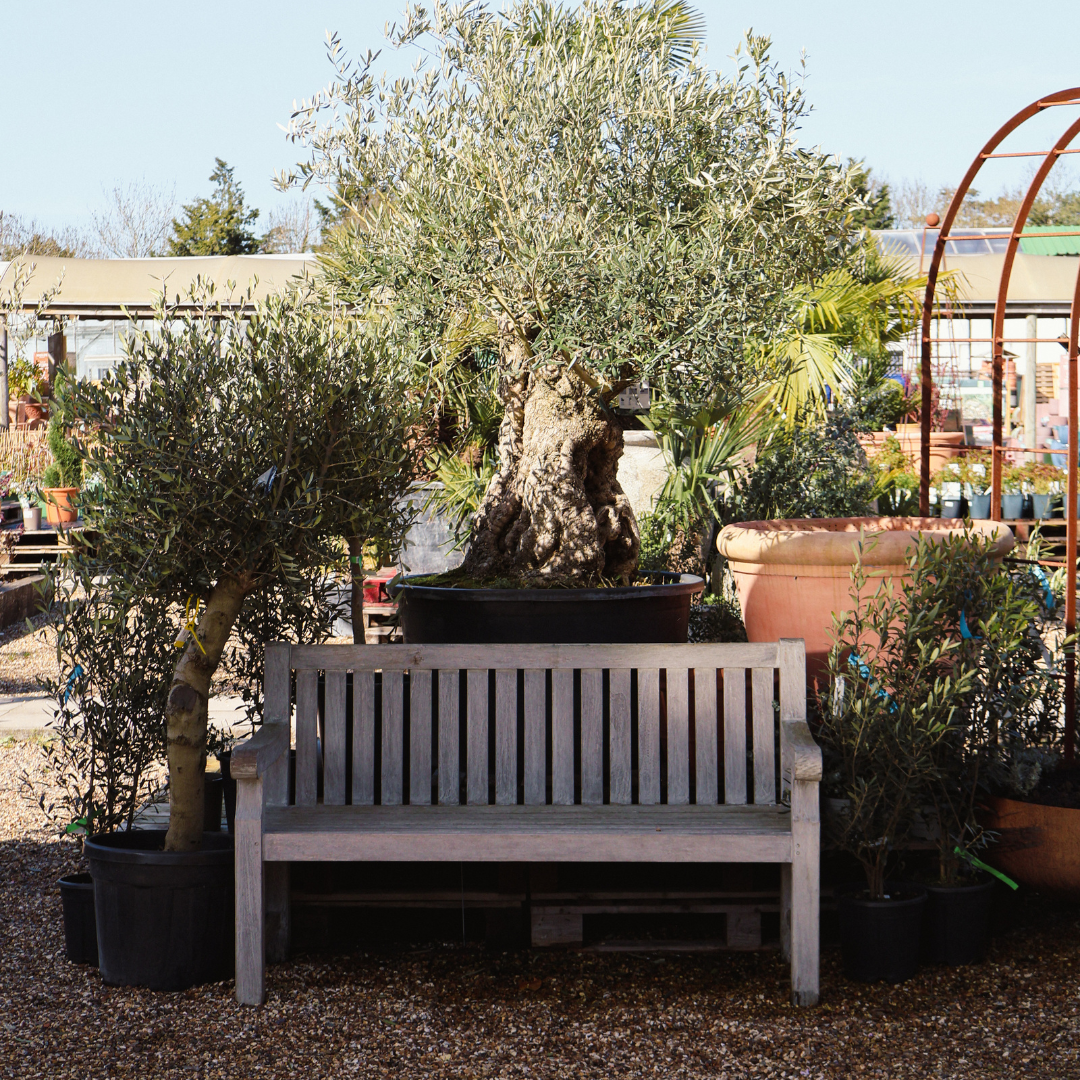 Spring Garden Trends We’re Loving This Year