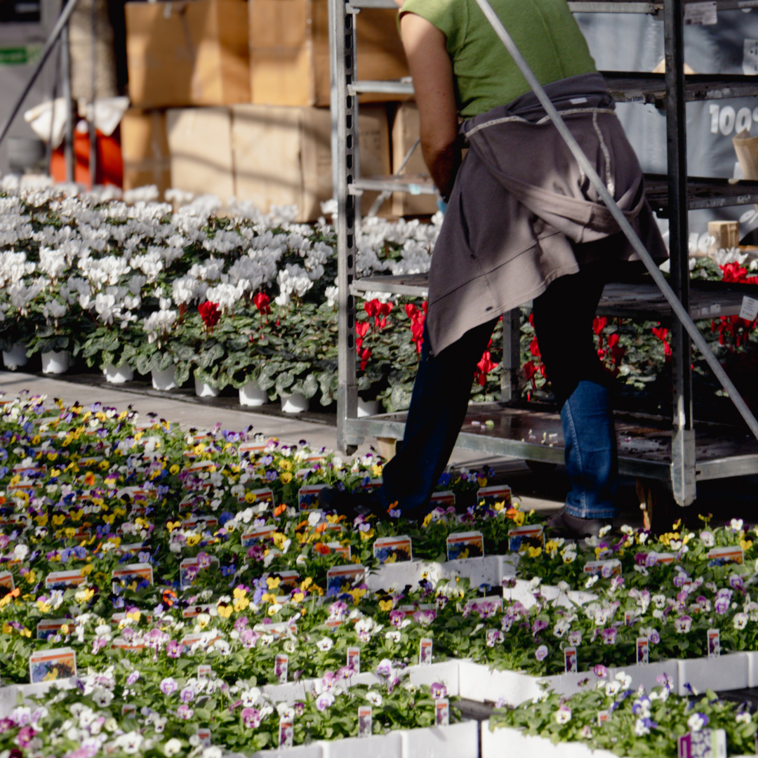 The Secret to a Low-Stress Garden? Start Earlier Than You Think