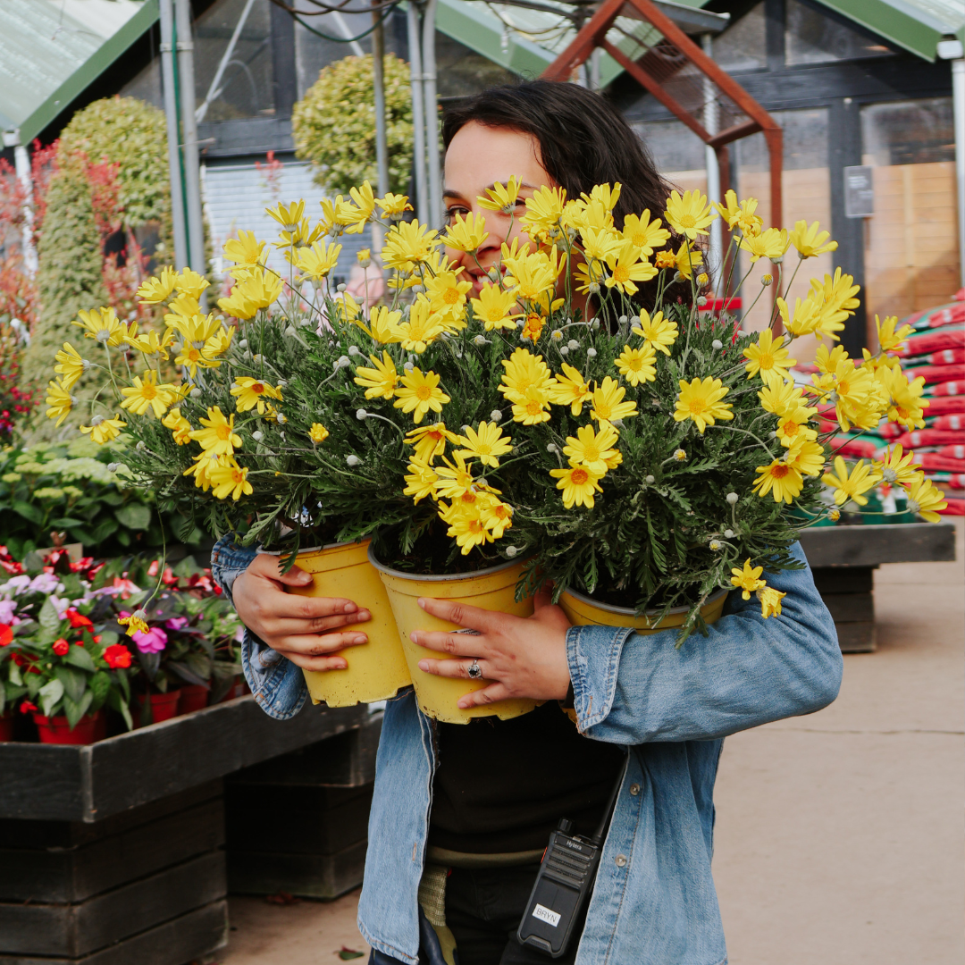 TICKETS HERE: Plant Bingo - Plants, Prizes and Prosecco