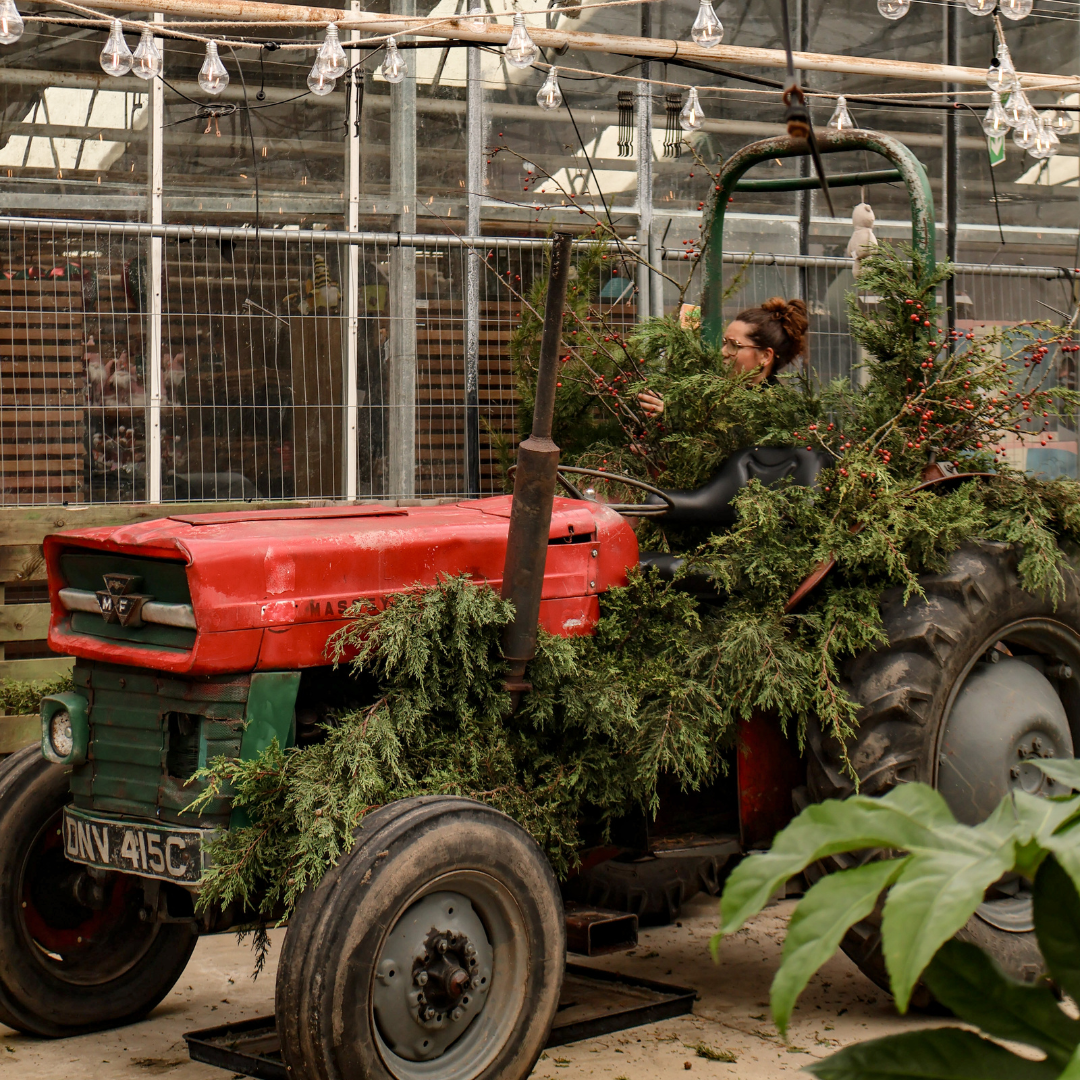 Applications Now Open for the Flowerland Iver Christmas Market 2026!
