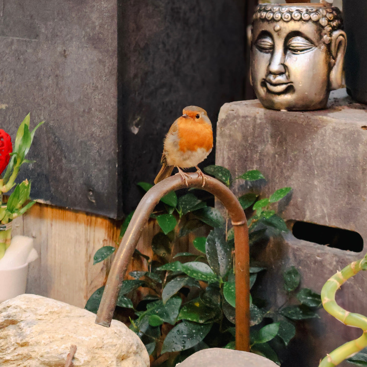Bird Nesting Week 2025: How to Help Our Feathered Friends | Flowerland
