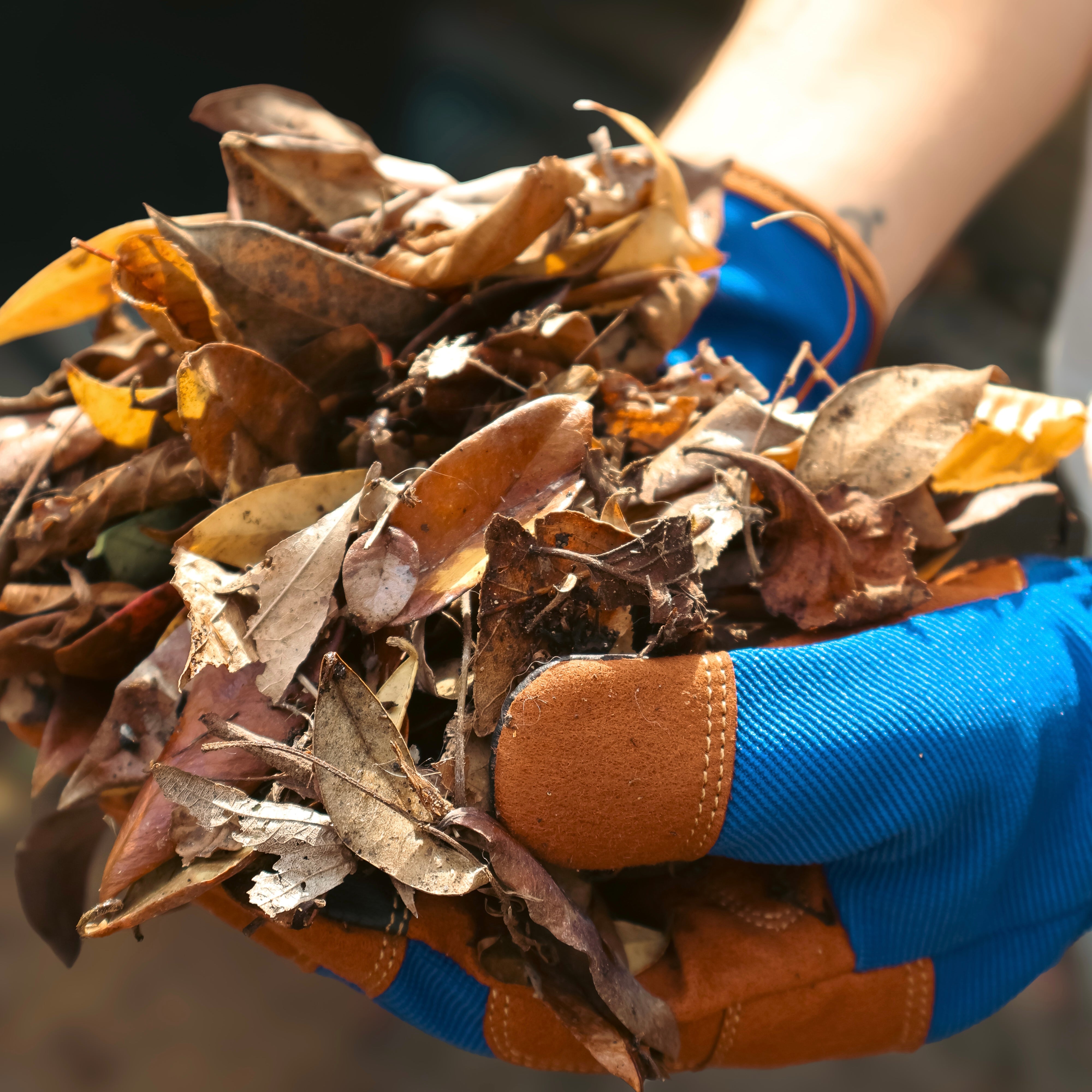 DIY Compost Bin for Autumn