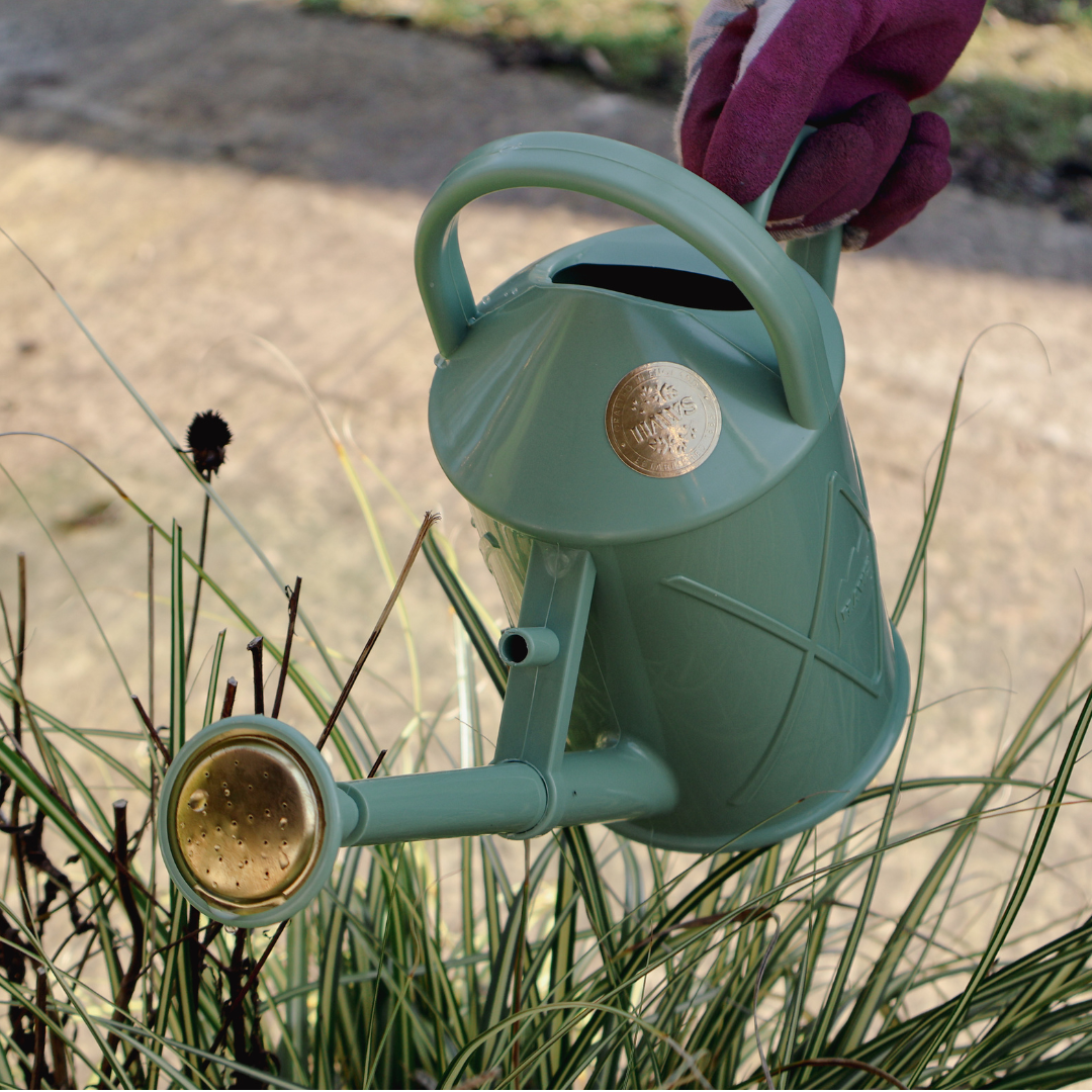 Introducing Haws Watering Cans: A Timeless Classic in Gardening Excellence