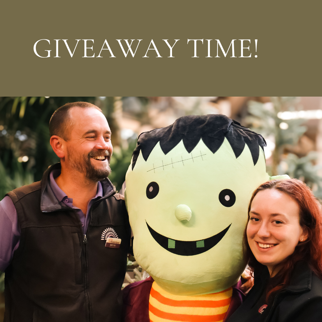 FREE PRIZE DRAW - Win a giant Frankenstein!