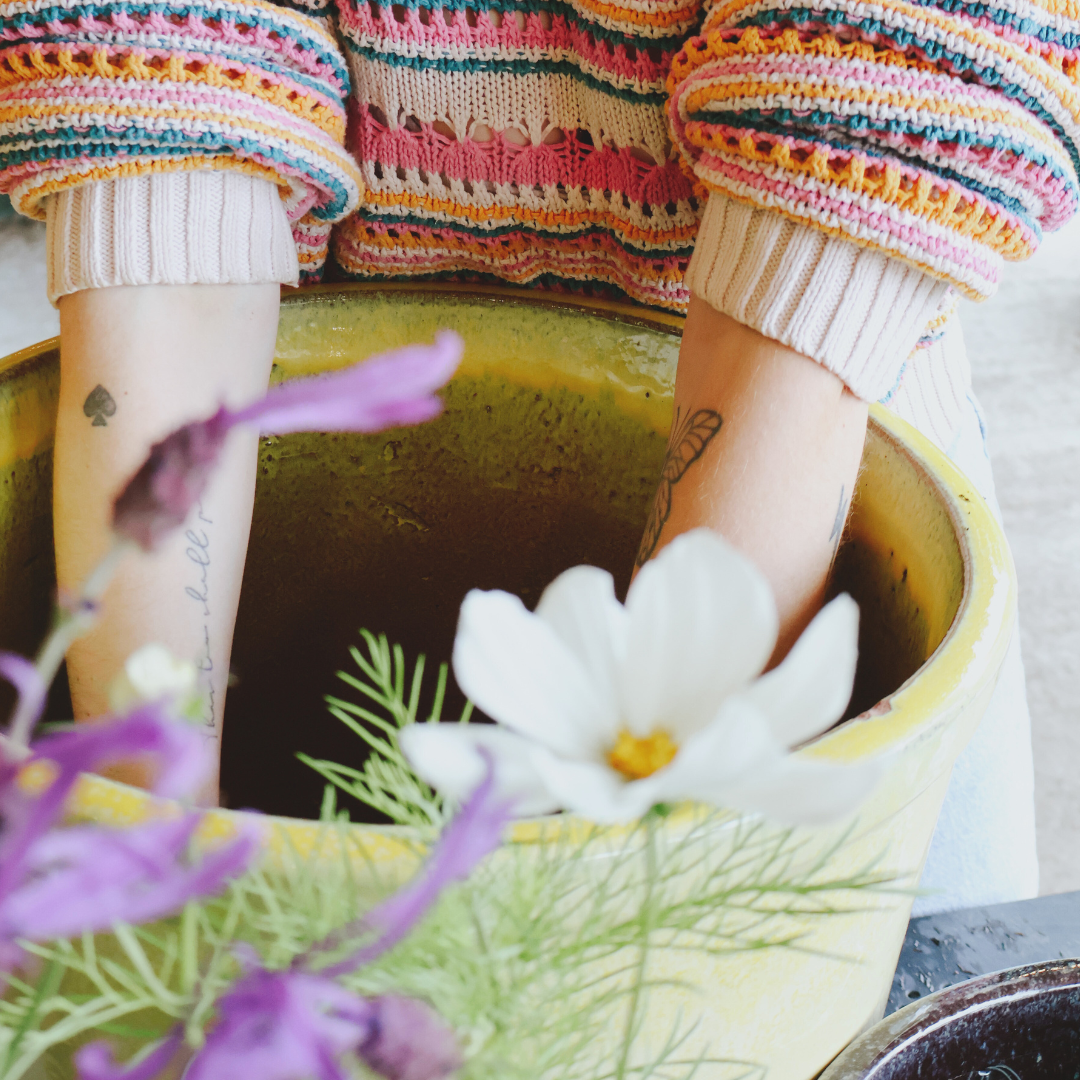 A Beginner's Guide to Gardening Lingo