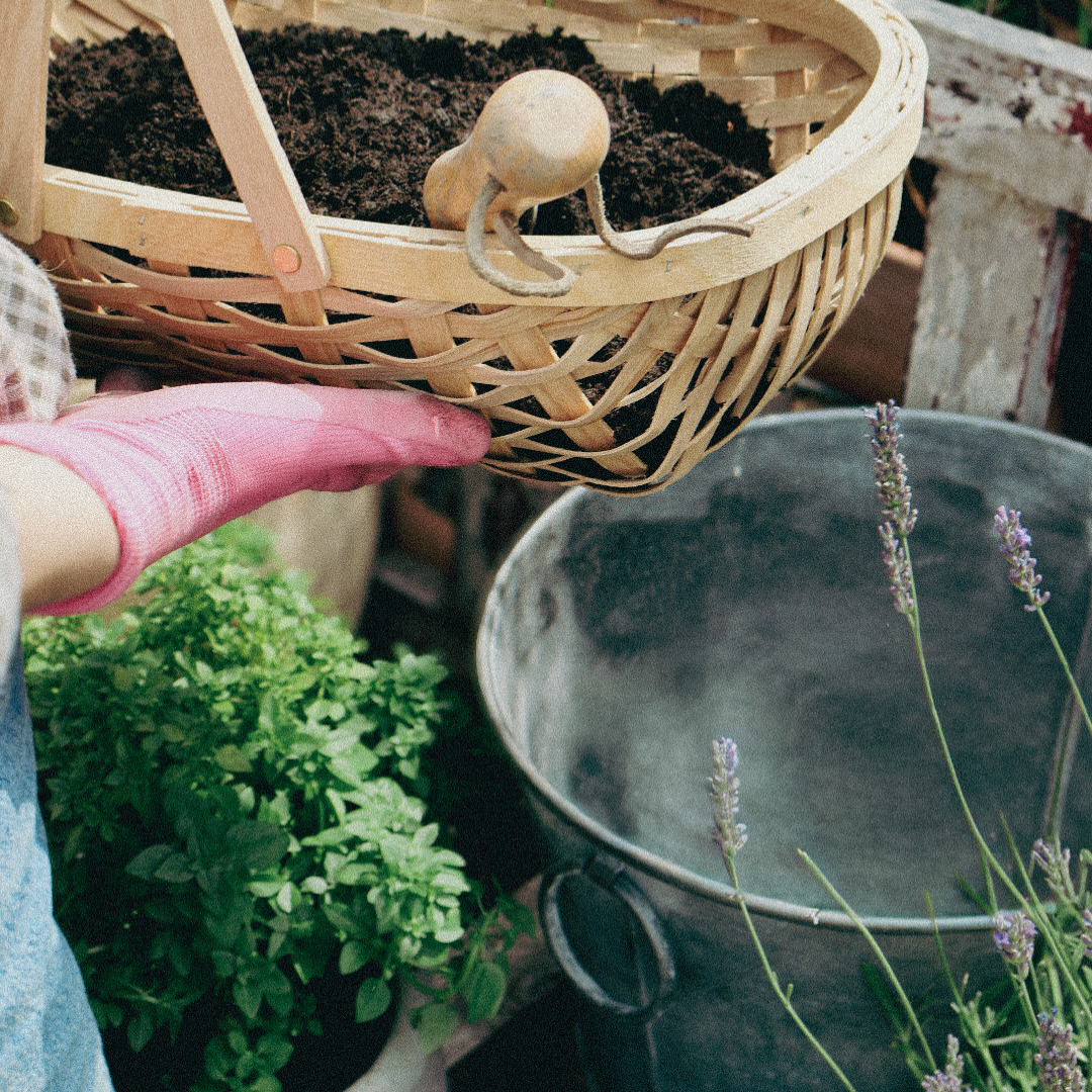 The September Garden Reset: What to Cut, Keep & Leave Alone