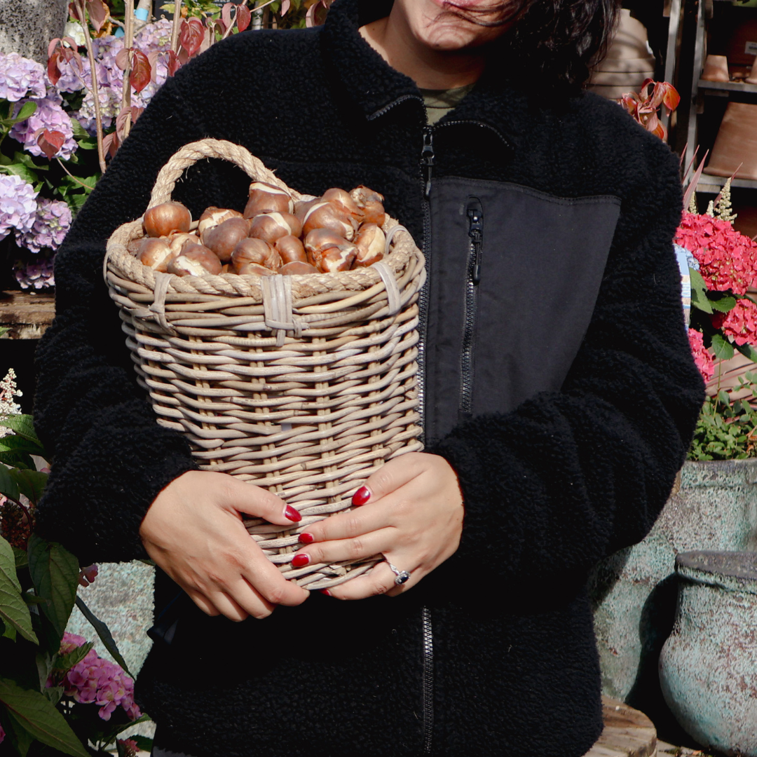 Spring Bulb Q&A