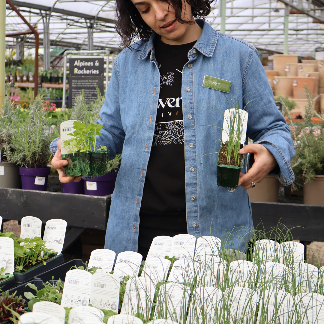 What Seeds You Should Start Indoors in February