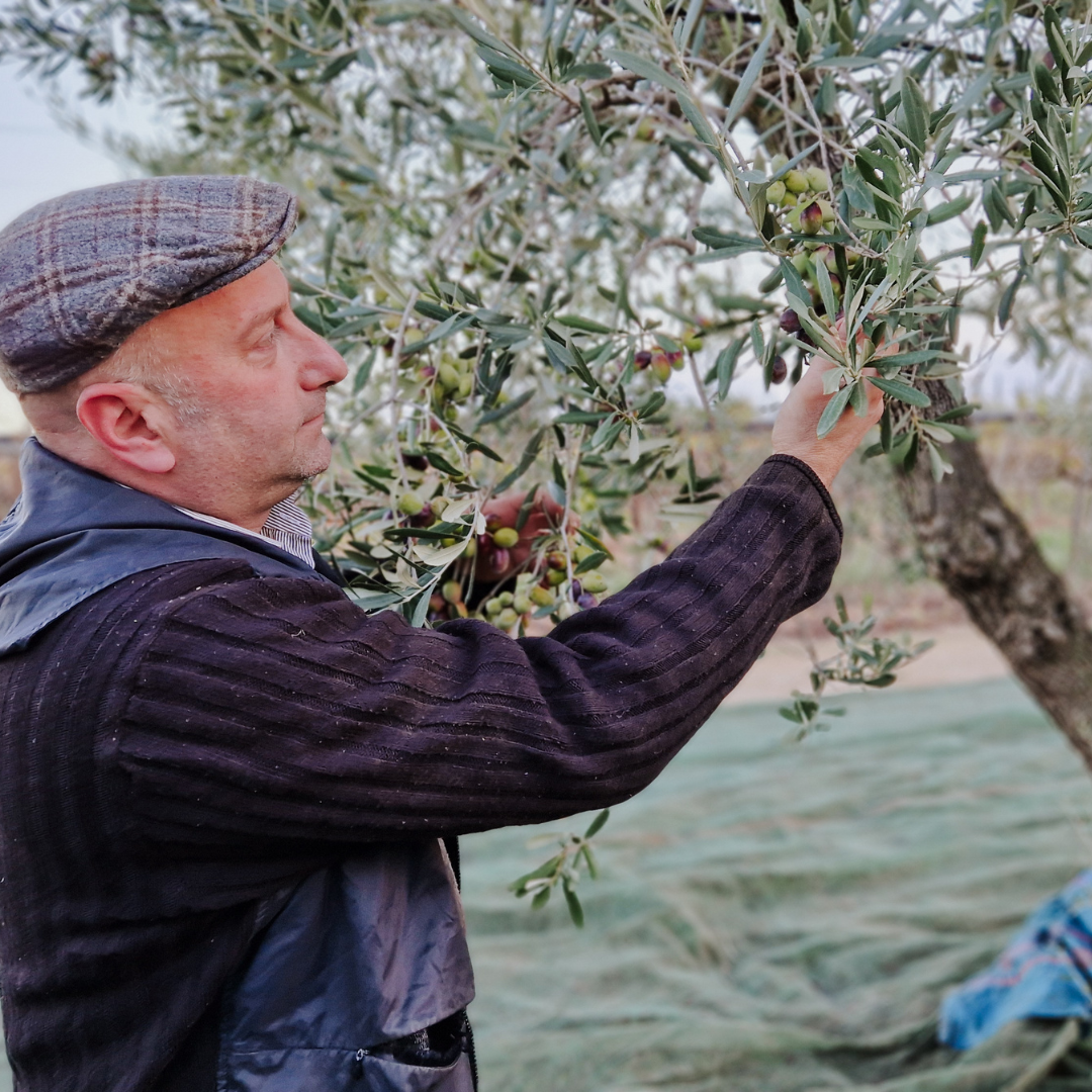 Tickets here: Vinegar & Olive Oil tasting