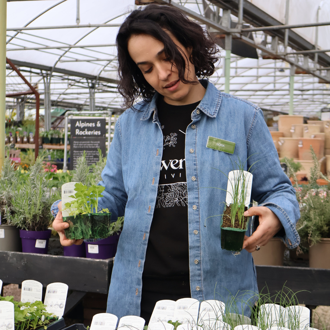 What to Plant in April in the UK (Beginner-Friendly Guide)