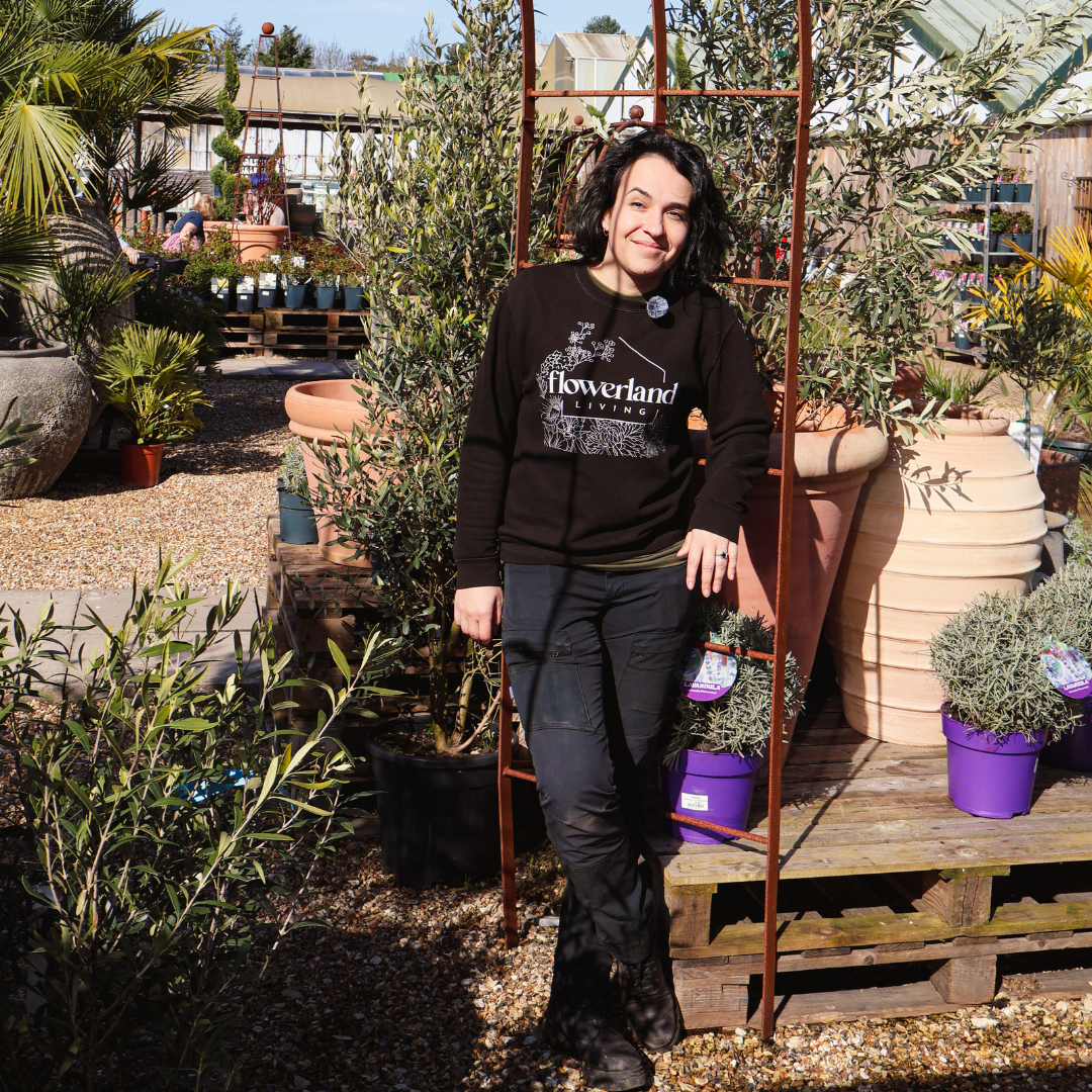 Staff Picks: What We’re Planting This Month