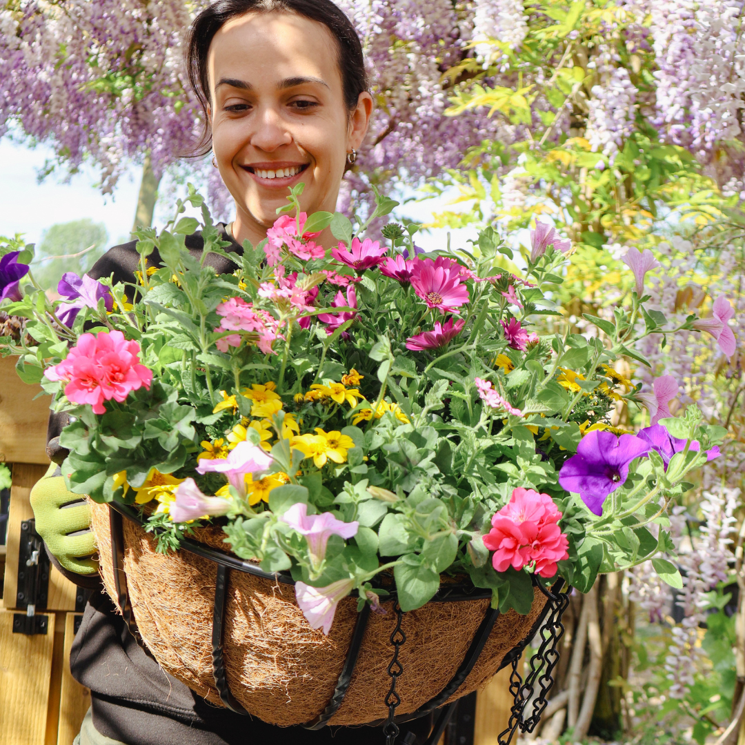 TICKETS HERE: Hanging baskets workshop in Iver