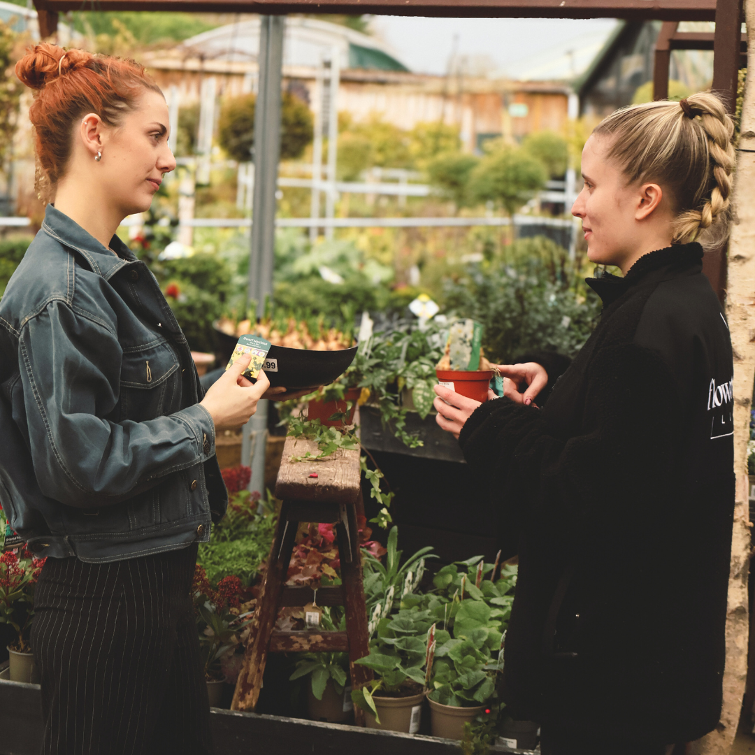 Help Shape Our Next Workshops