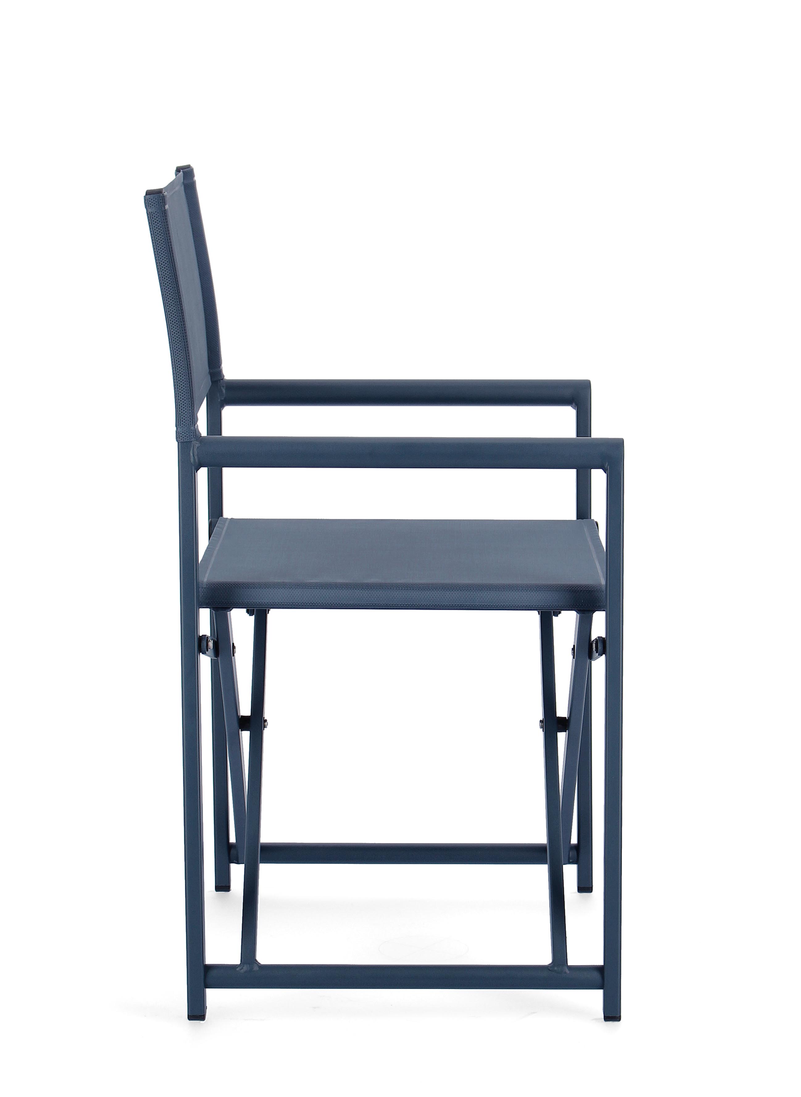 Taylor Navy Director Chair