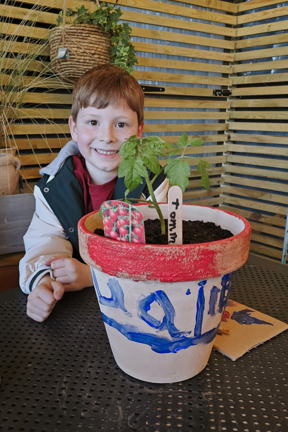 Kids Workshop | Grow Your Own Sunflower