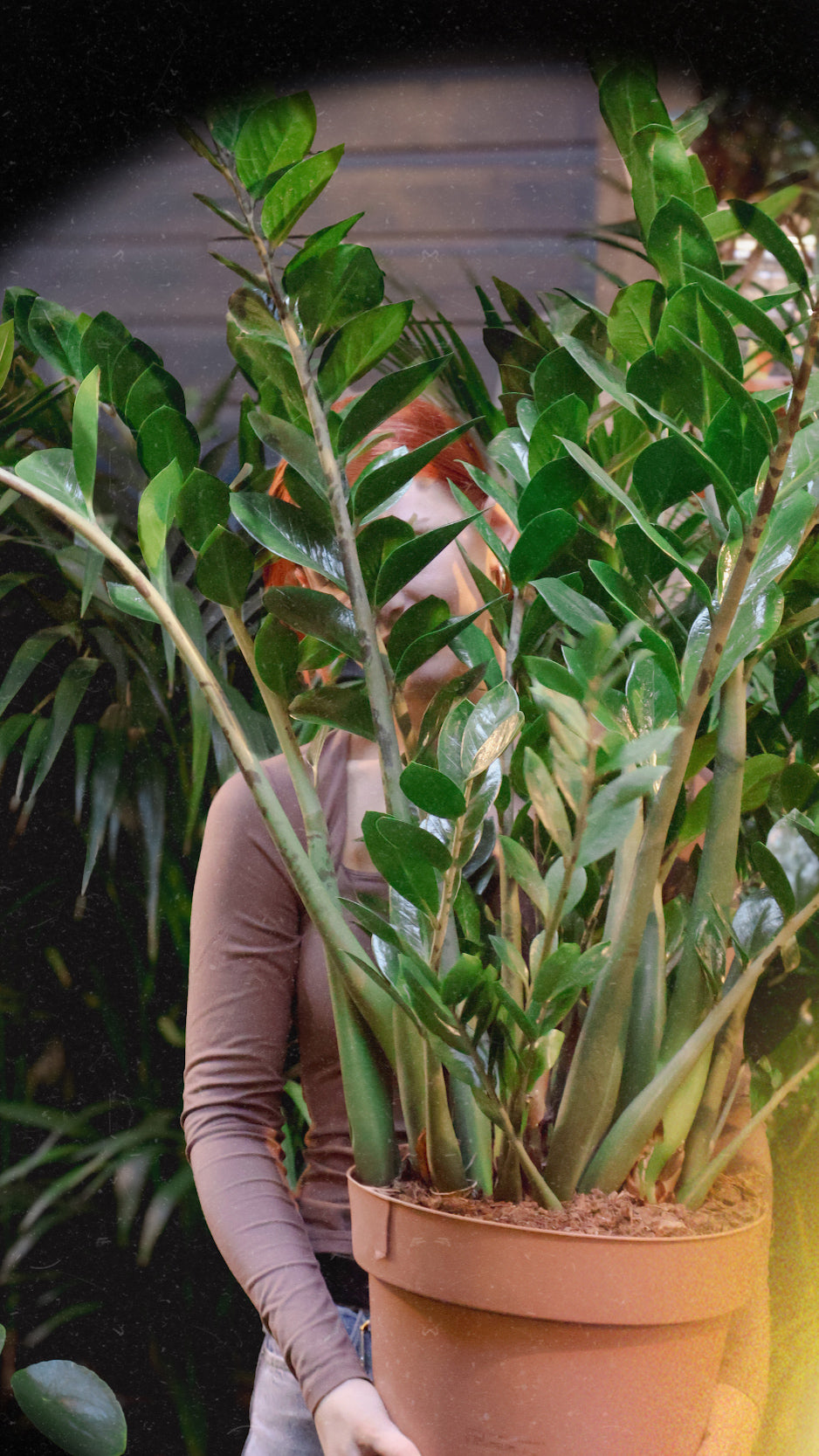 House Plant bingo with Nora Bourne end