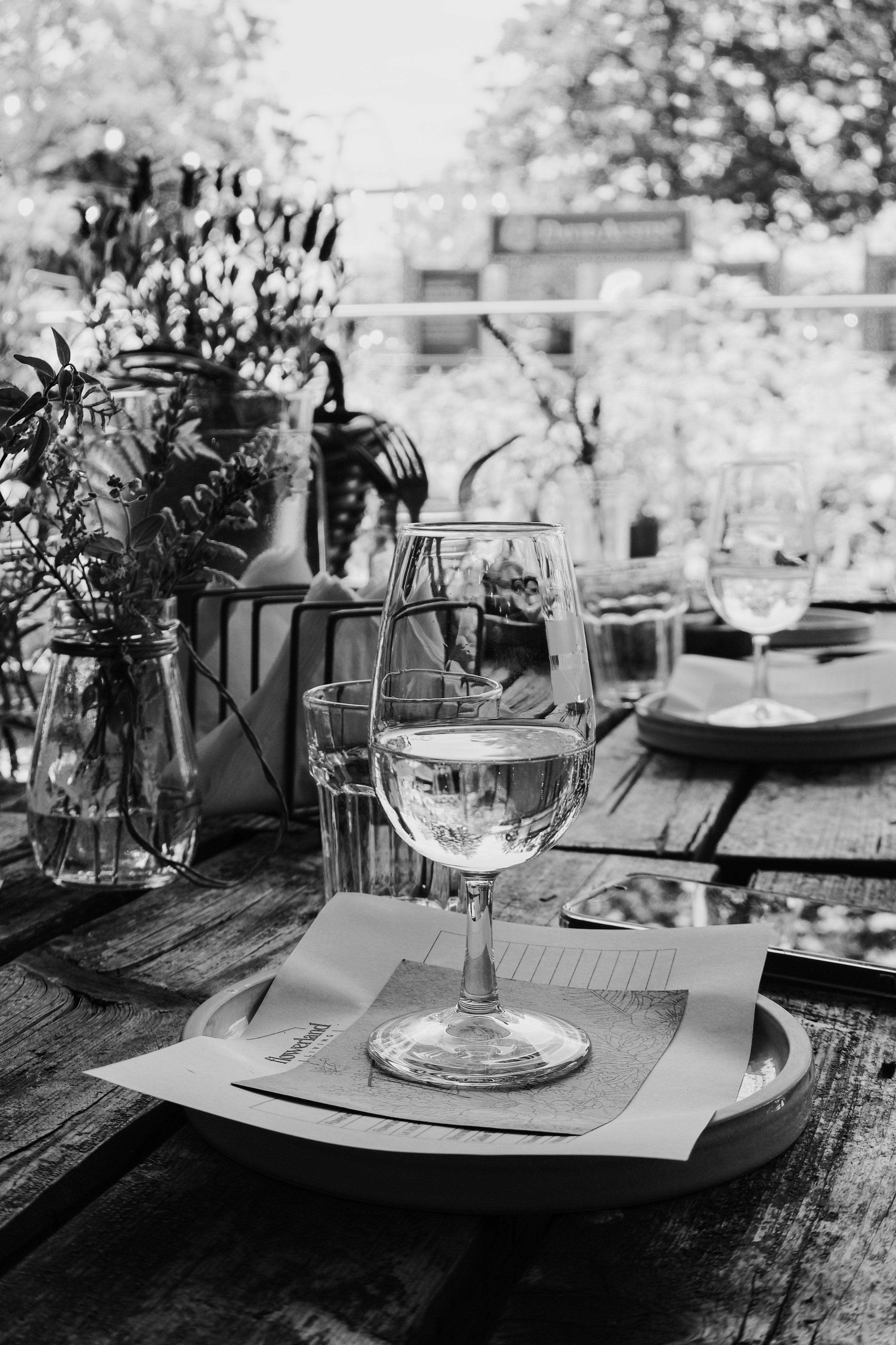 Wine & Cheese Tasting at Flowerland