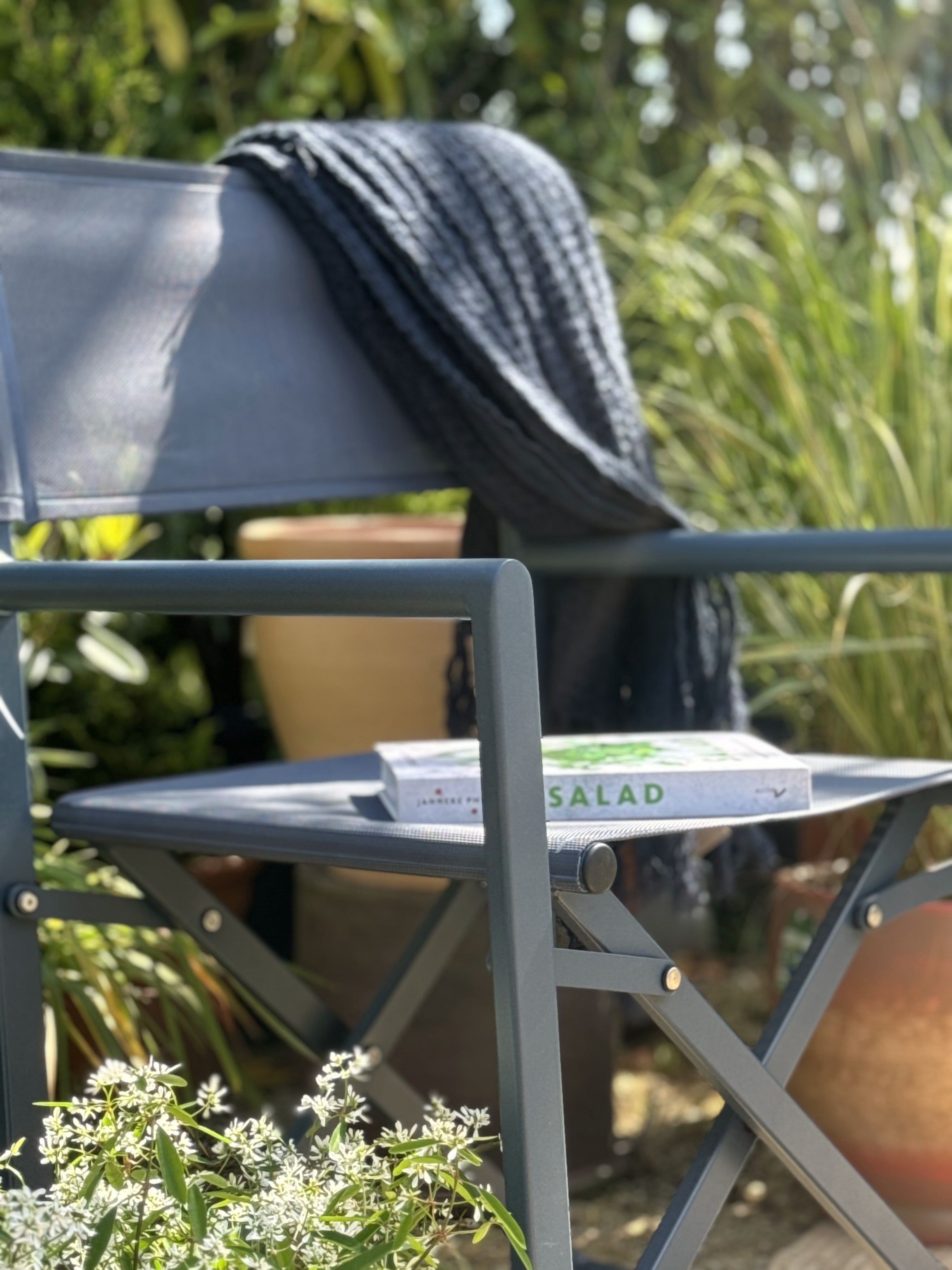 Taylor Navy Director Chair