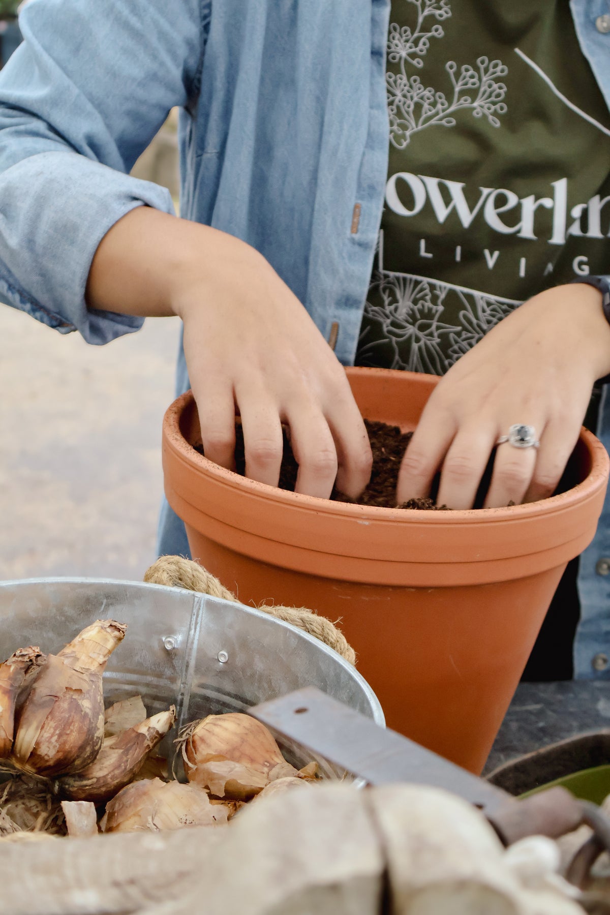 The 'Spring Surprise' Bulb Pot Workshop with Nora