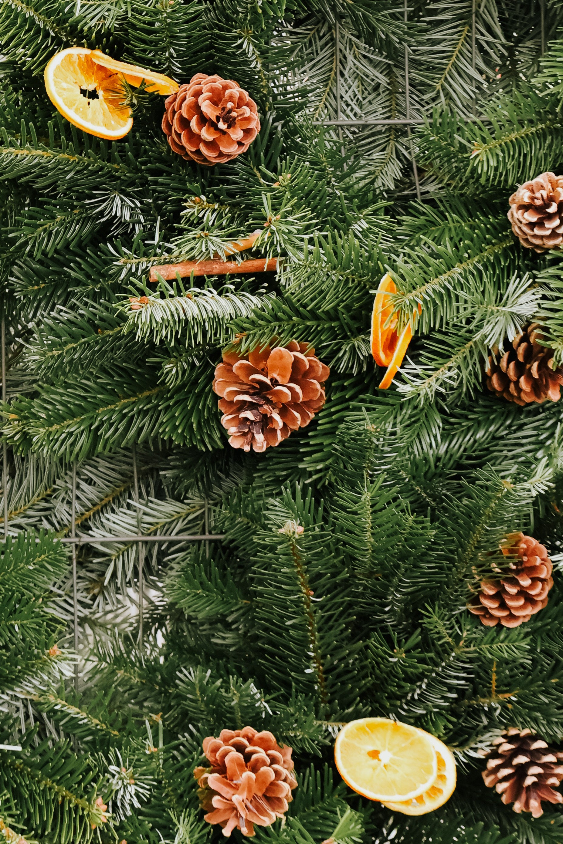 Christmas Wreath-Making Workshop | Iver