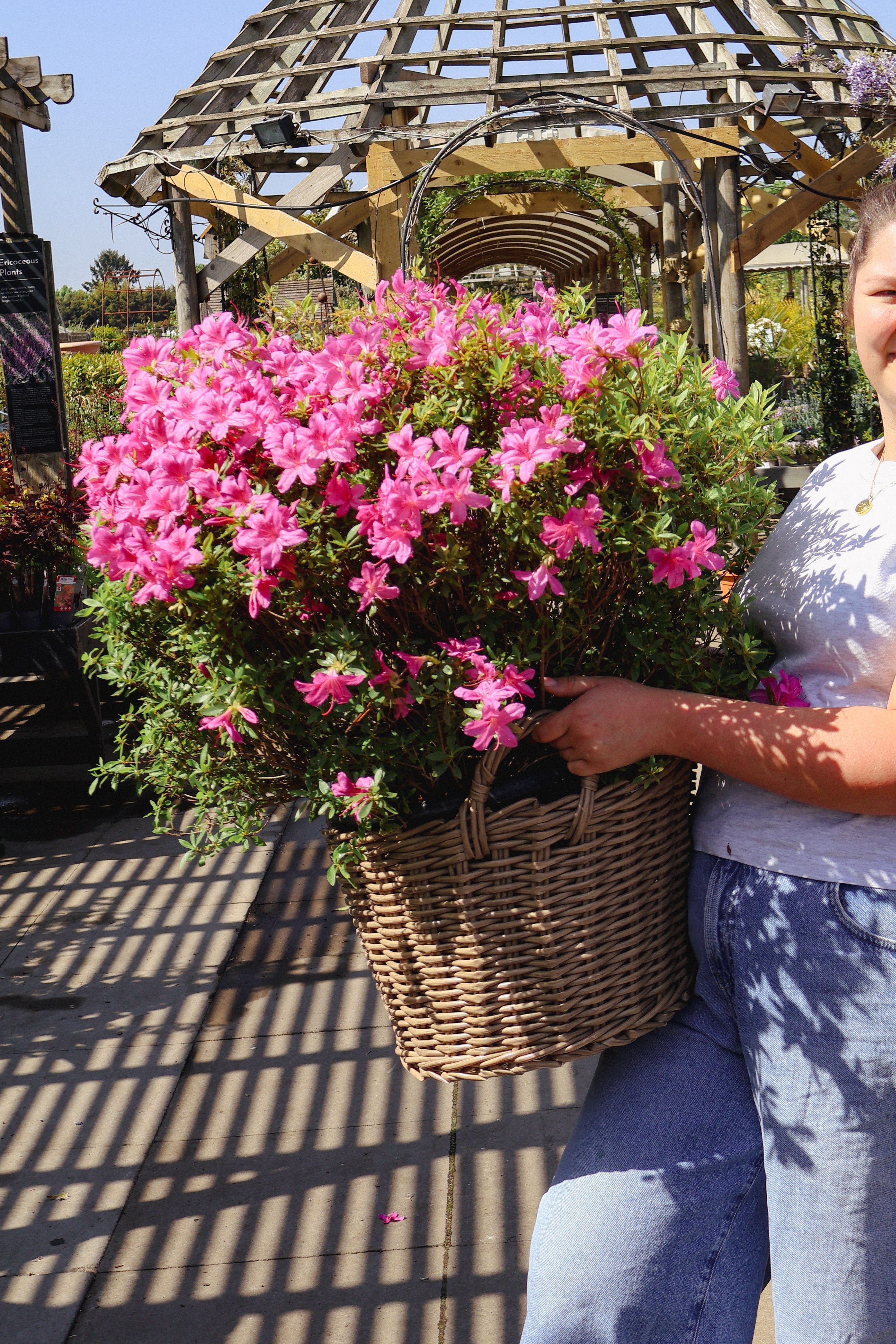 Plant bingo with Nora Iver