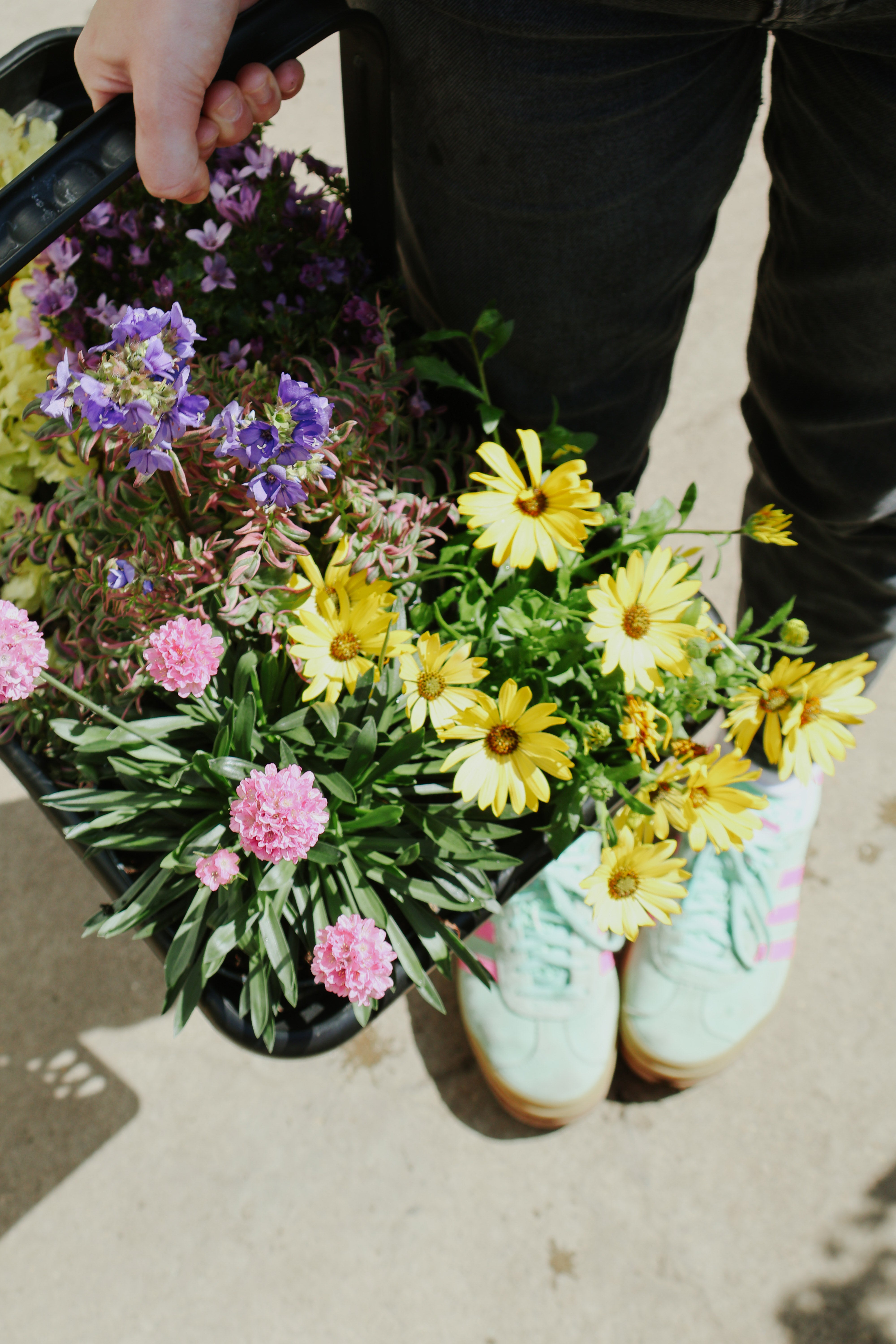 Plant bingo with Nora Bourne end