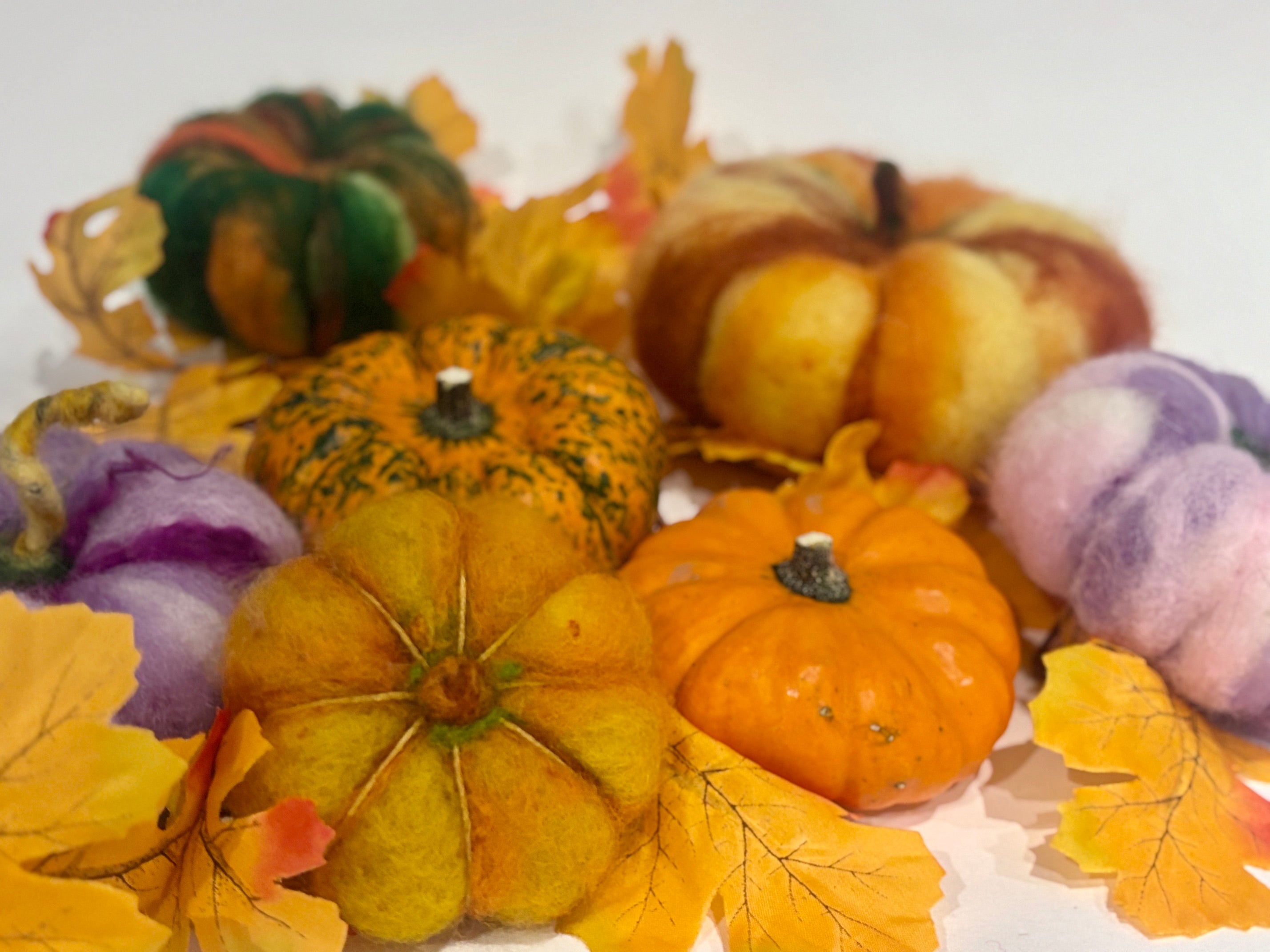 Halloween pumpkin felting workshop