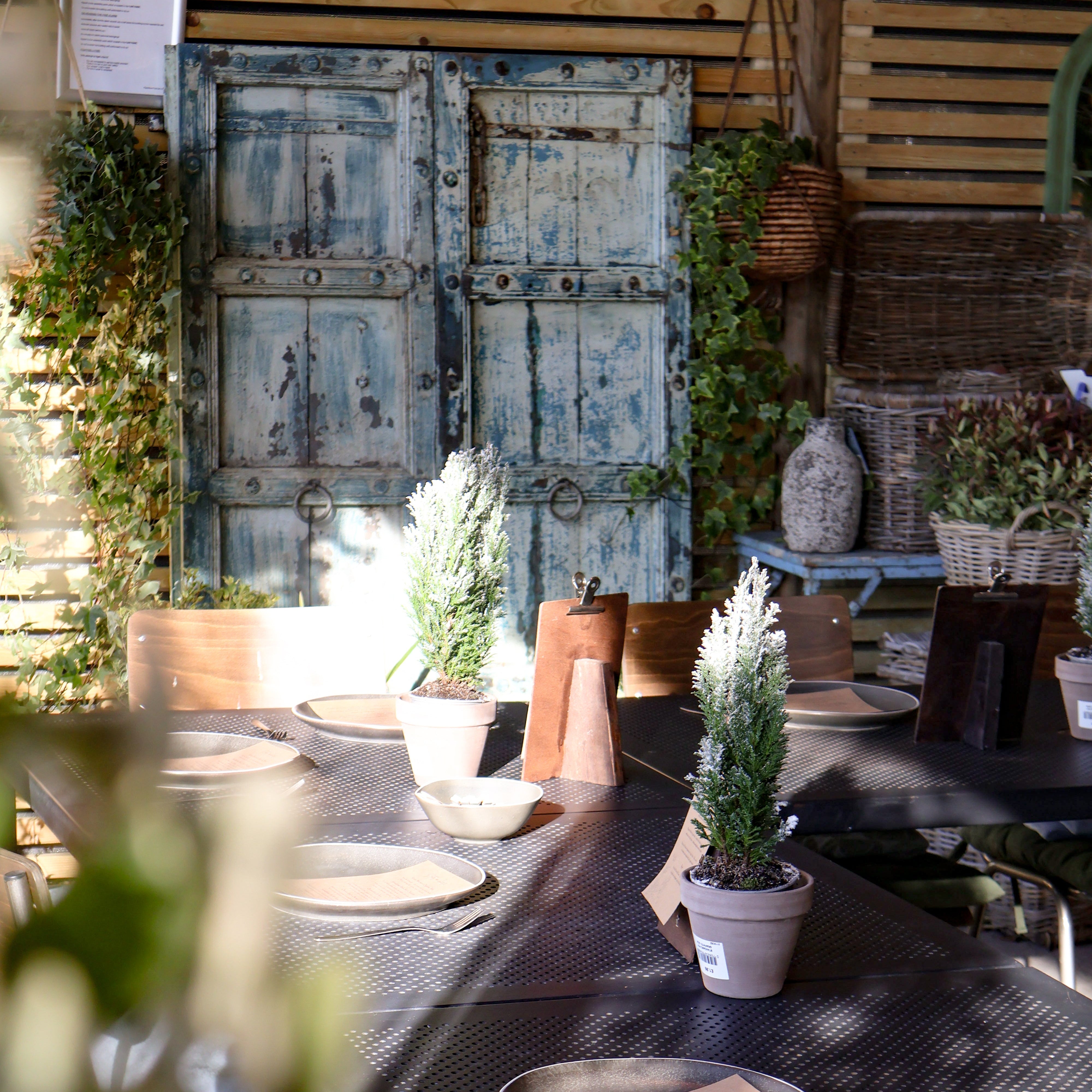 Festive Fruit Carving Workshop with Nasima Khatun