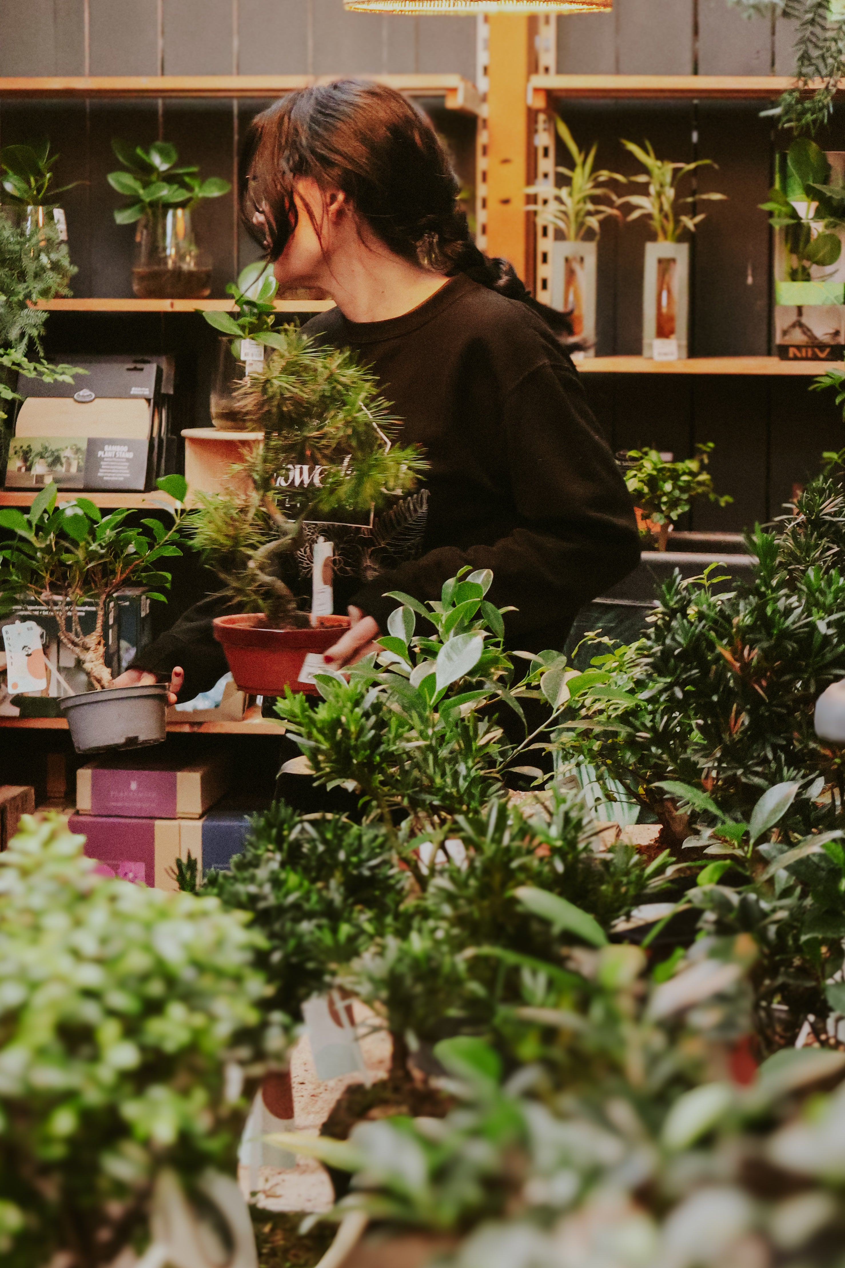 House Plant bingo with Nora Bourne end