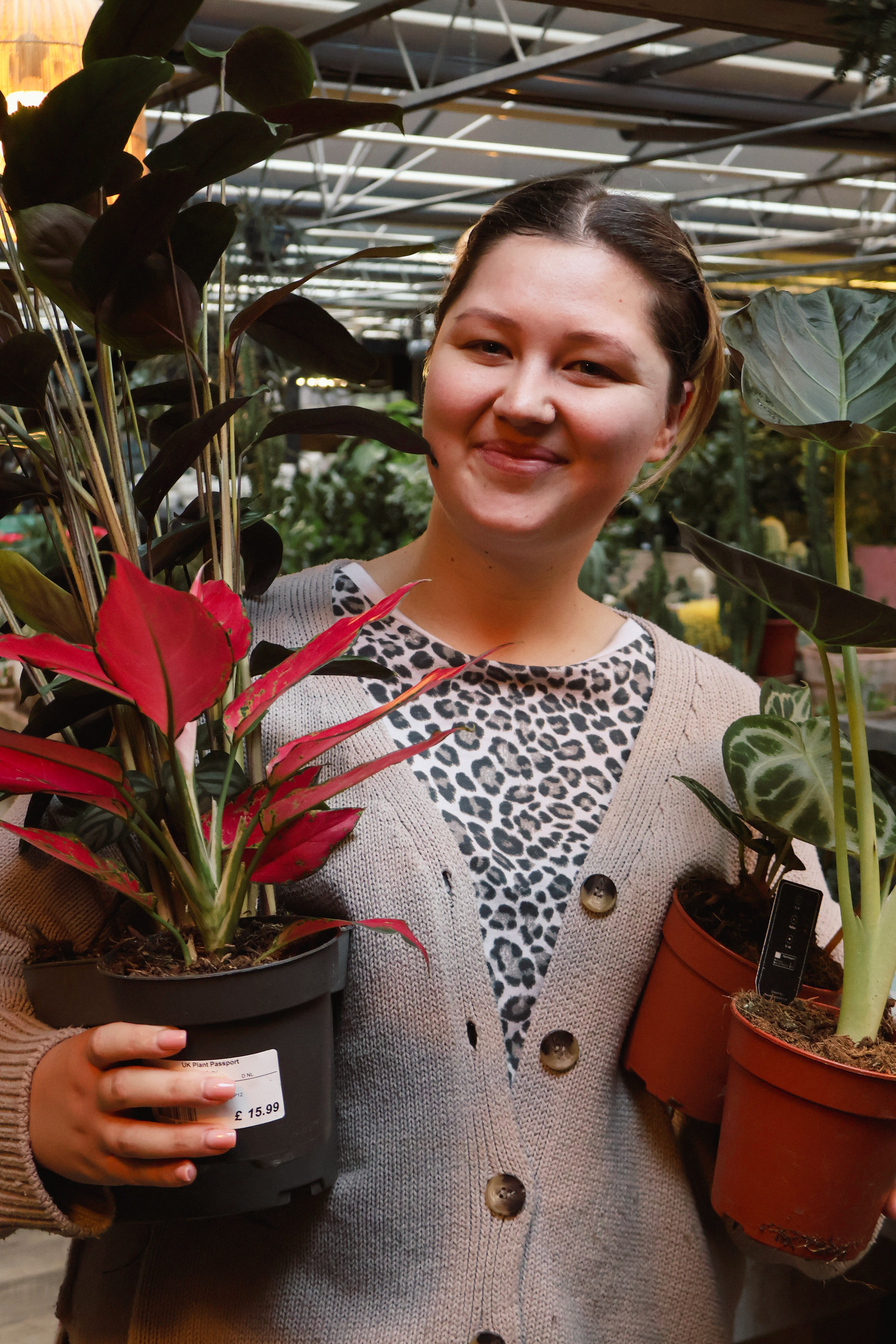 House Plant bingo with Nora Bourne end