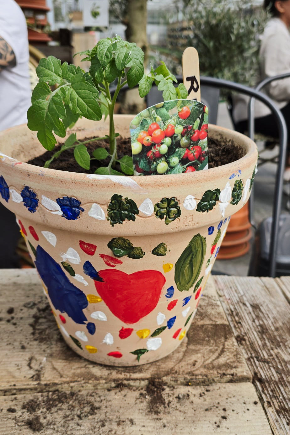 Kids Workshop | Grow Your Own Sunflower