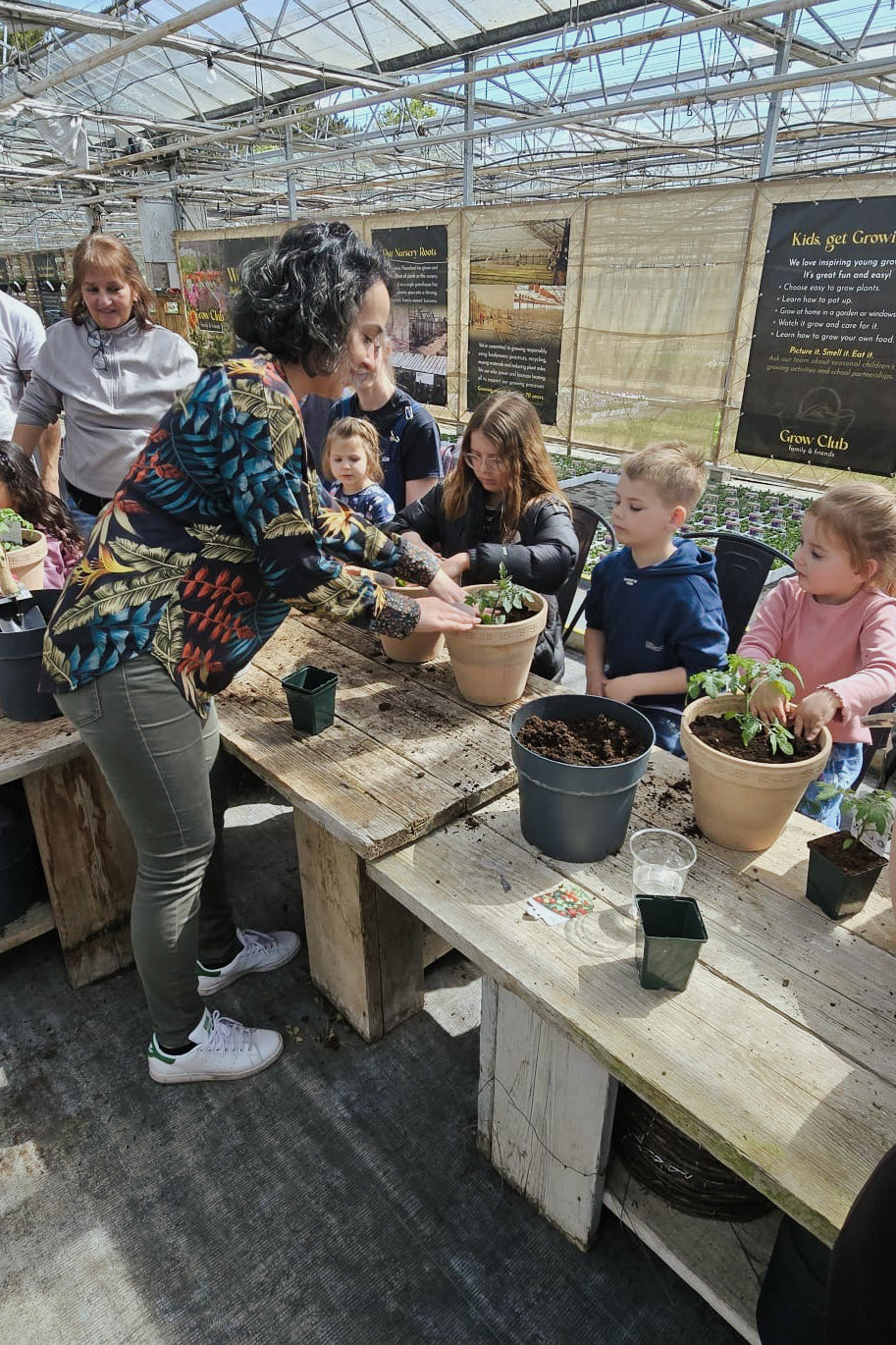 Kids Workshop | Grow Your Own Sunflower